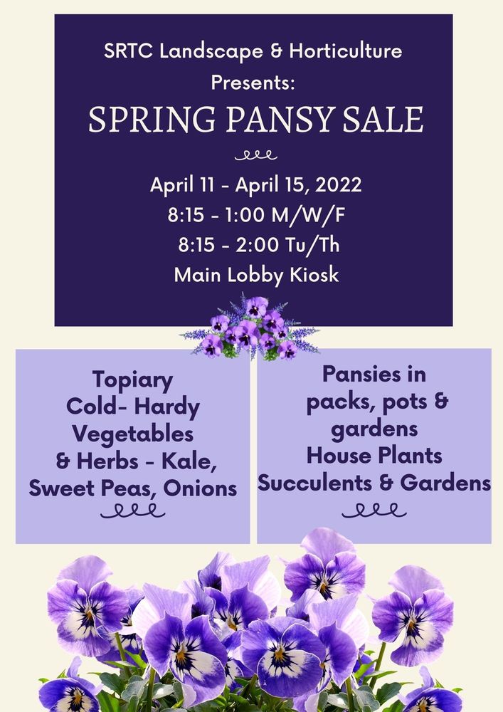 Pansy sale announcement