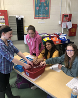 Science Investigations