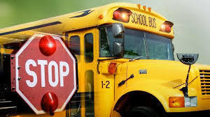 Stop Means Stop School Bus Safety