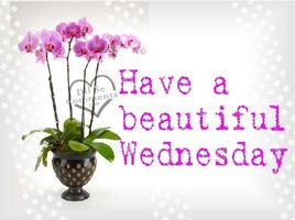 WEDNESDAY, MAY 29TH