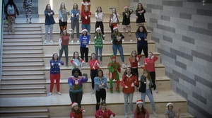 Peer Helpers Flashmob
