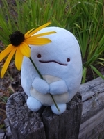 WEDNESDAY, OCTOBER 2ND