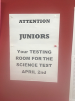 Junior
