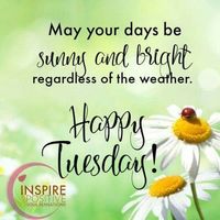 TUESDAY, DECEMBER 10TH
