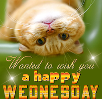 WEDNESDAY, MAY 15TH