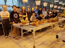8th grade band planting for Veterans