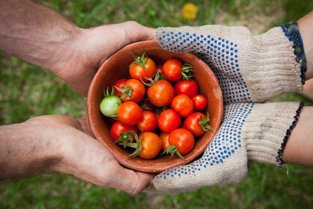 fresh produce